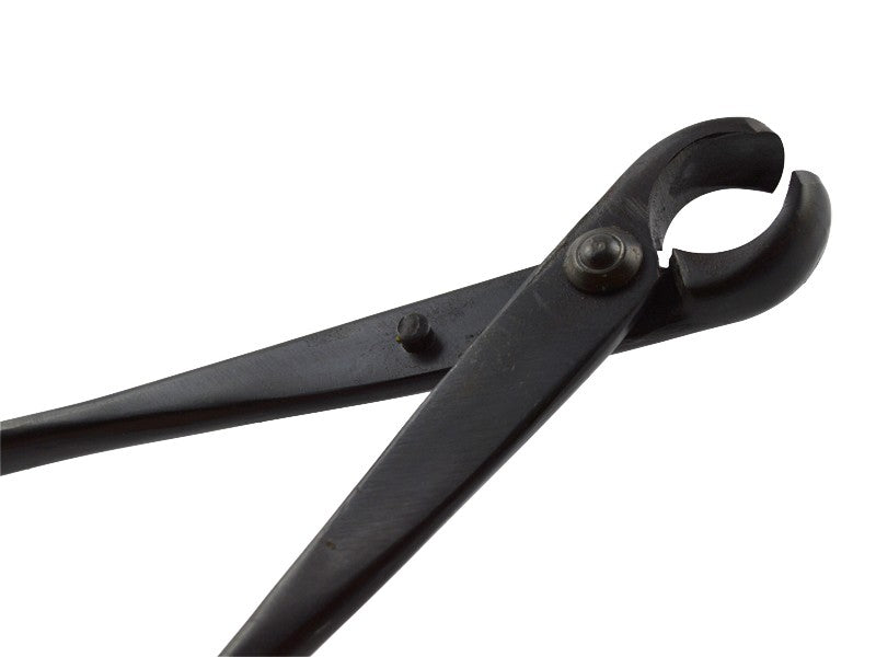 Pince concave pour bonsai 180mm
