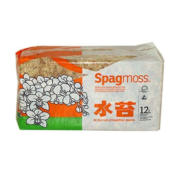 Sphaigne pour bonsaï 150g