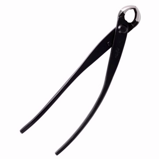 Concaaftang Ryuga - 210mm