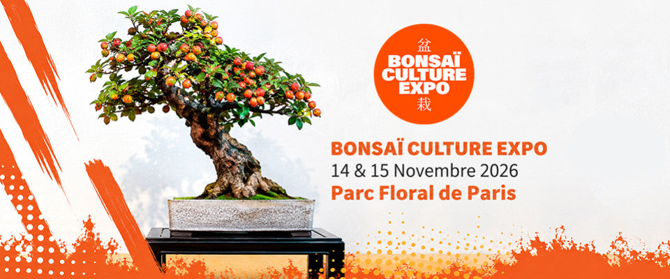 Bonsaï Culture Expo 2026 au Parc Floral de Paris