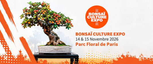 Bonsaï Culture Expo 2026 au Parc Floral de Paris