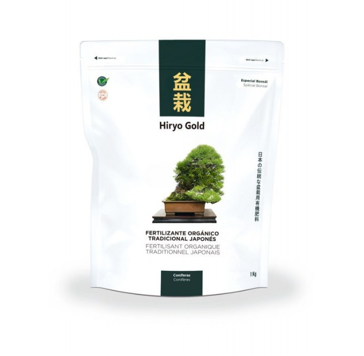 Hiryo Gold Conifer