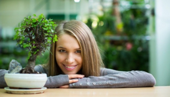 Ontdek onze 6 tips om je bonsai binnen te plaatsen